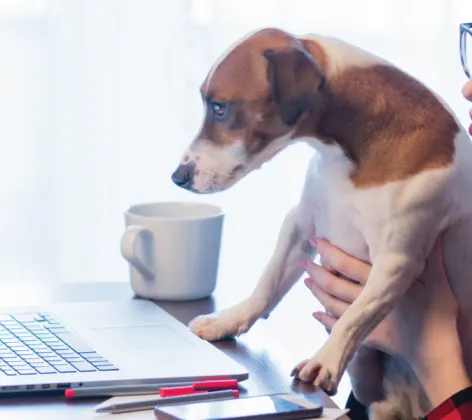 Woman holding dog up to laptop